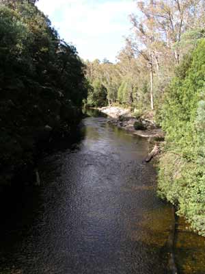 Collingwood River