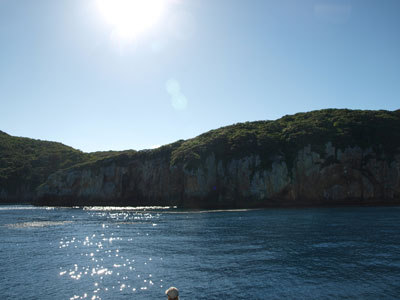Landing Bay Pinnacle