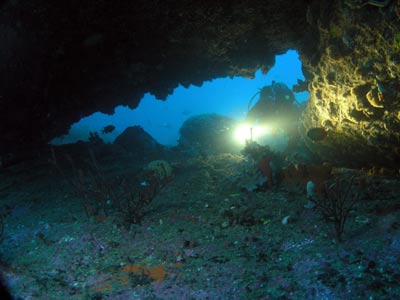 M & K Reef Cave