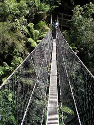 The Montezuma Falls bridge