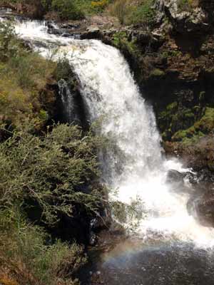 Paddys Falls