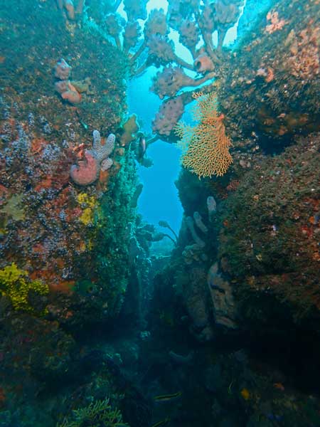 Marys Reef