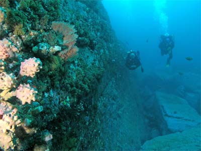 Burrill Rocks Wall