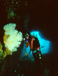 Noel at the cave's shallow entrance