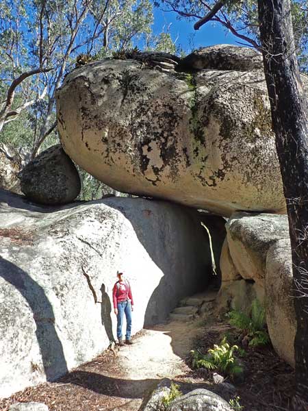 Bald Rock NP