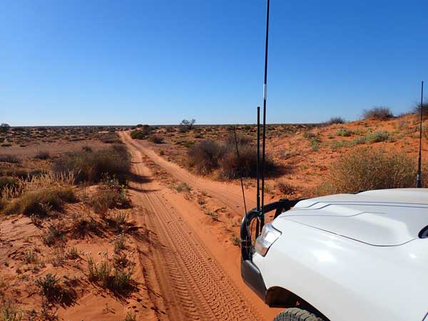 Simpson Desert
